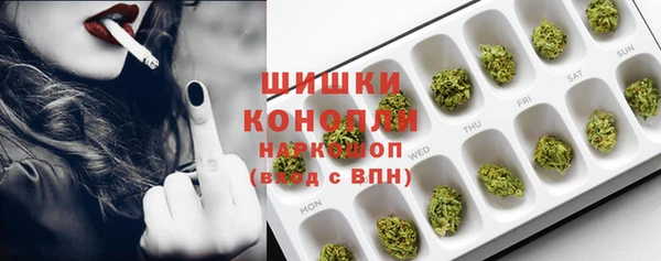 альфа пвп Медвежьегорск