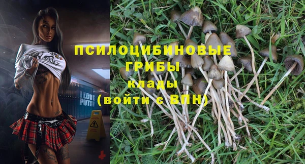 mix Сосновоборск