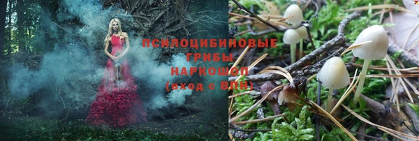 альфа пвп Медвежьегорск