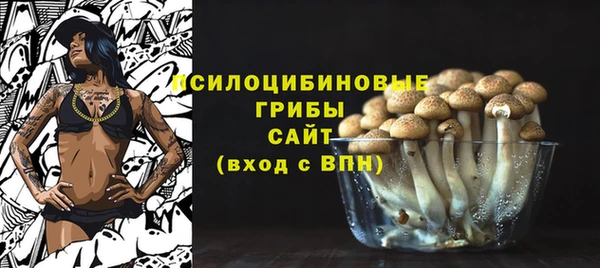 альфа пвп Медвежьегорск