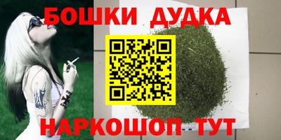 стаф Будённовск
